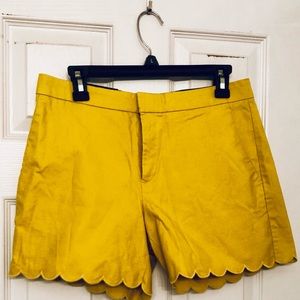 ☘️ NWT Scalloped short mustard yellow